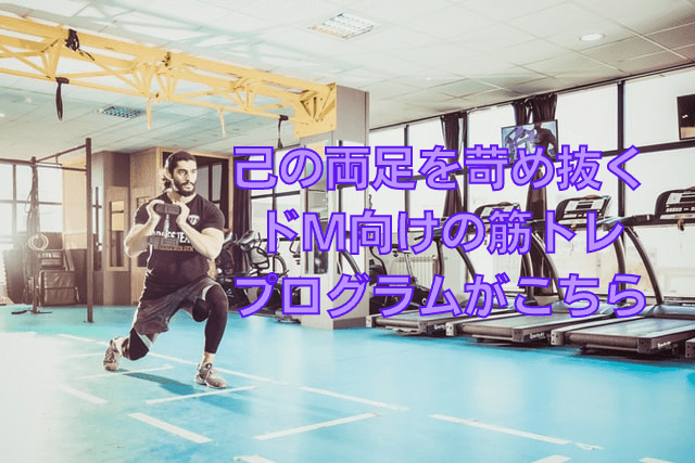 スポーツ フィットネス、トレーニング X55で鋼のごとき足と全くブレない体幹バランスを鍛えまくろう | Omochi